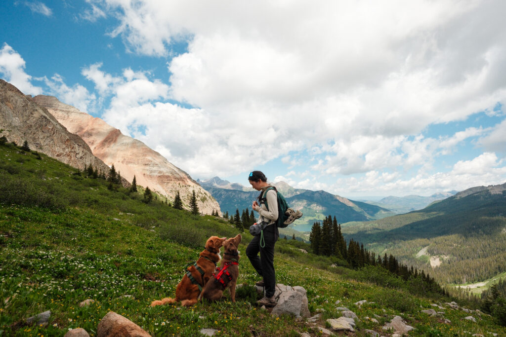 Asian female standing with her two dogs with mountains in the background.