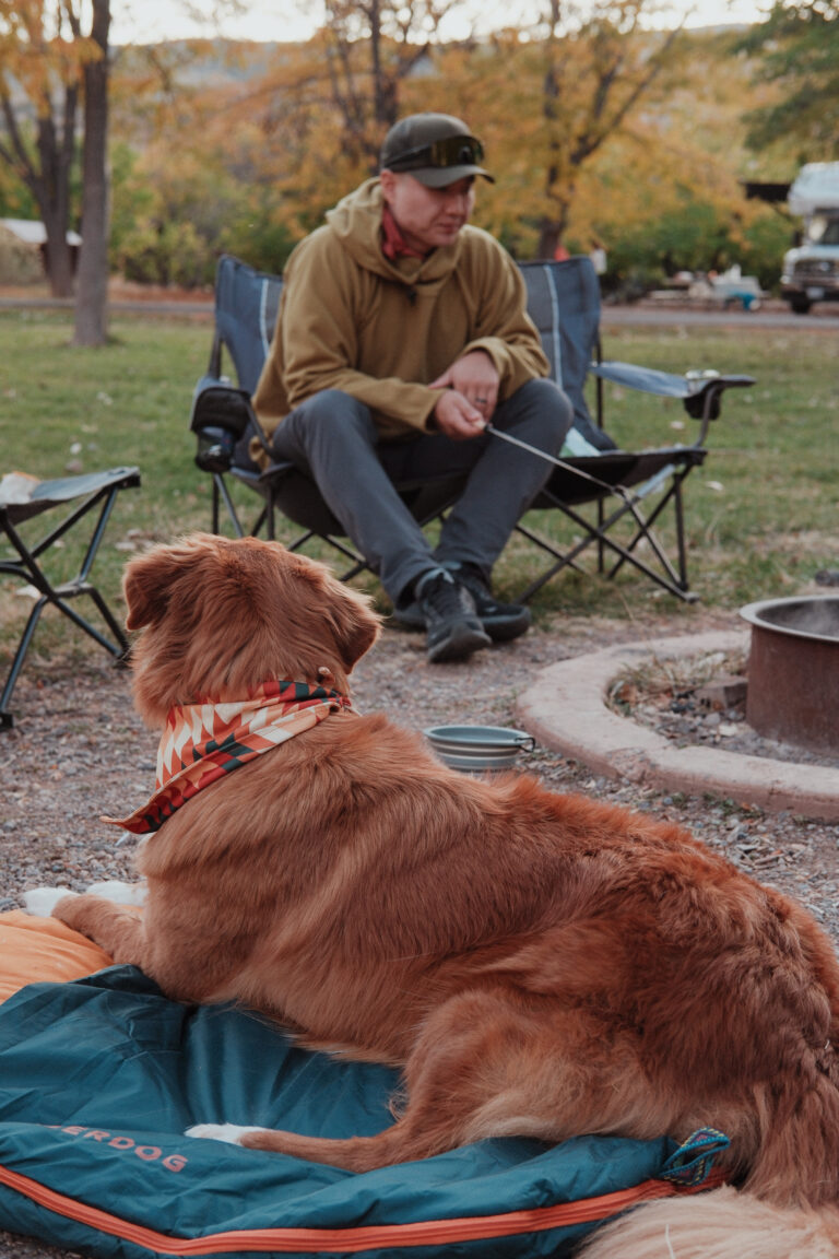 An asian male is sitting by a campfire in the background. In the foreground is a dog laying on a sleeping bag looking at the asian male.