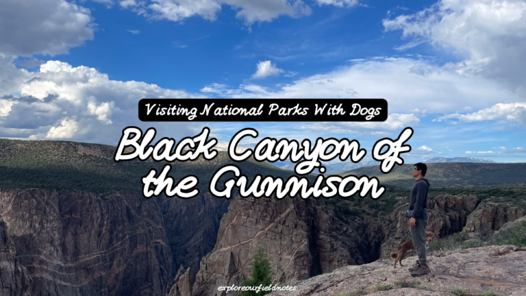 Black Canyon of the Gunnison Visiting With Dogs Featured Image