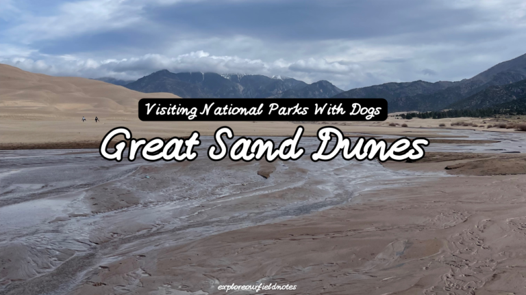 Photo of Great Sand Dunes National Park with Medano Creek flowing. Text on the image reads Visiting National Parks With Dogs: Great Sand Dunes