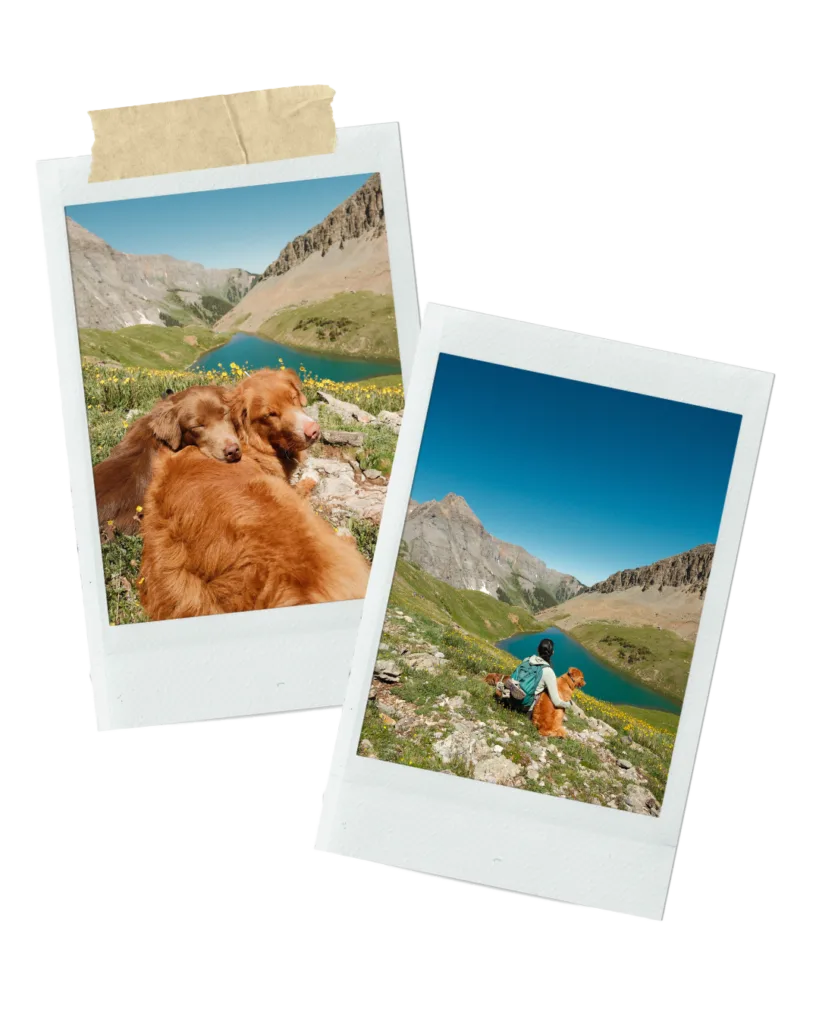 Polaroid picture frames. One depicts two dogs laying in the grass with mountains and a lake in the background. The other is an asian girl sitting with her orange brown dog with the same mountain and lake in the background.