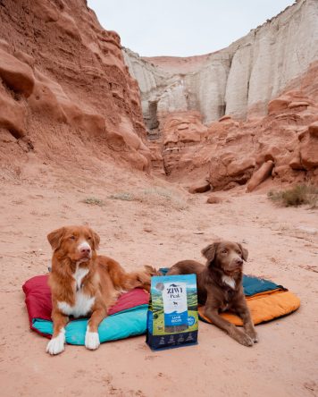 Two dogs laying down on dog sleeping bags with a bag of ZIWI air dried formula between them. Behind them are large red rock formations.