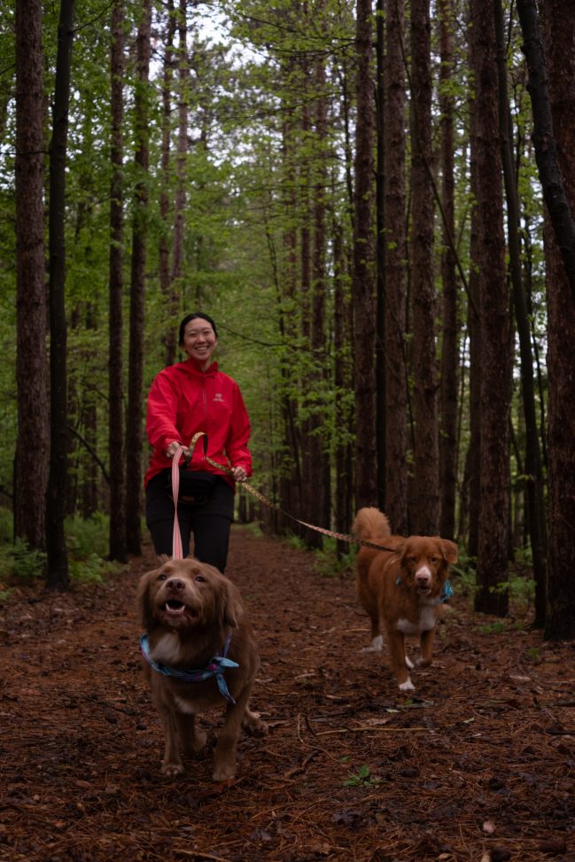 Explore Our Field Notes Portfolio