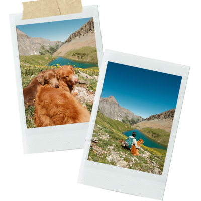 Polaroid picture frames. One depicts two dogs laying in the grass with mountains and a lake in the background. The other is an asian girl sitting with her orange brown dog with the same mountain and lake in the background.