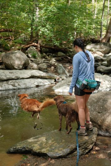 harness-waterproof-leash-5