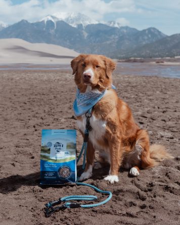 ZIWI Pets Steamed Formula